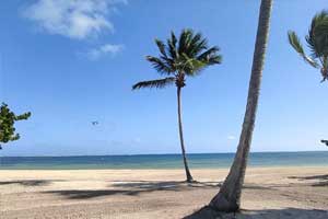 Serenade Punta Cana All Inclusive Resort